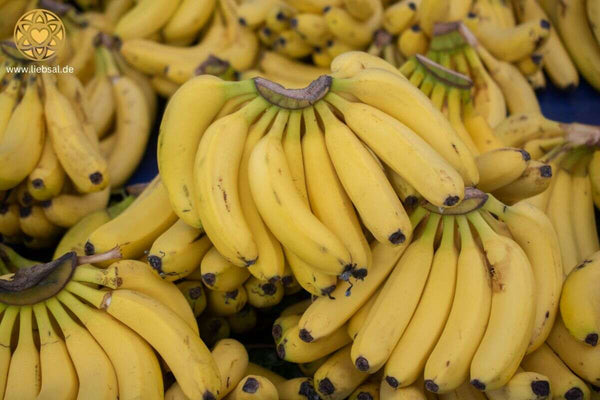 Bananen bei Gastritis liebsal.de