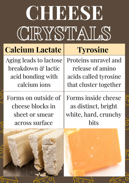 Calcium in Cheese: Everything You Need to Know - BC Dairy