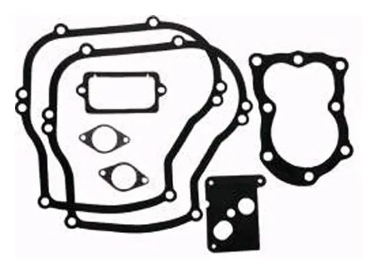 GASKET SET FOR B&S - Cigarcity Softwash