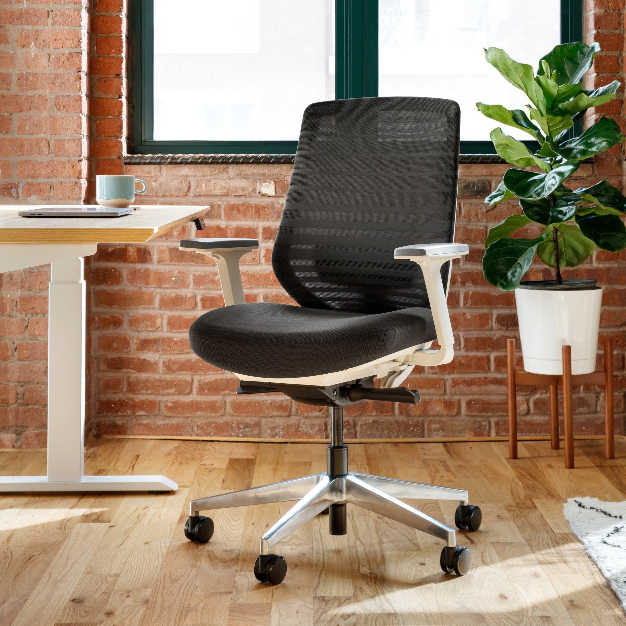 Ergonomic Chair | Office Ergonomic Chairs | Branch Office Furniture