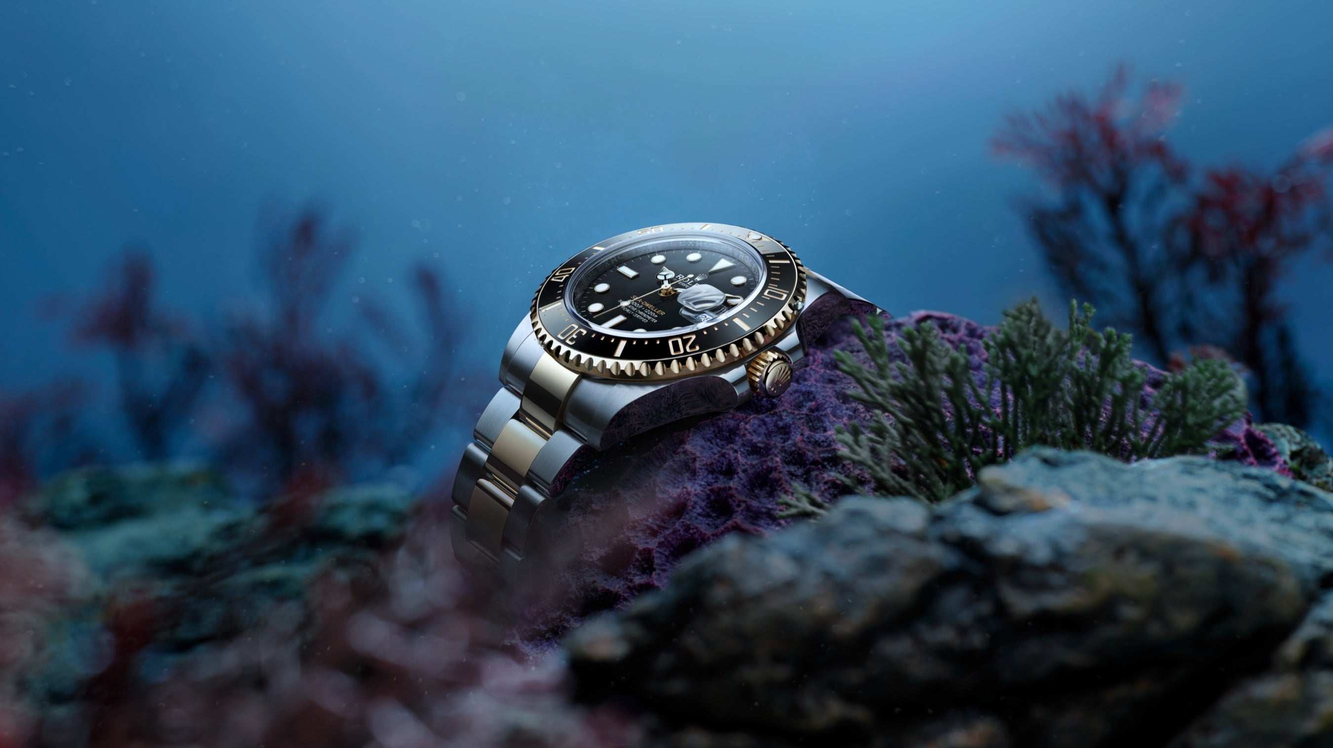 Citizen of the Deep - Rolex Sea-Dweller | Howard Fine Jewellers - Official Rolex Retailer