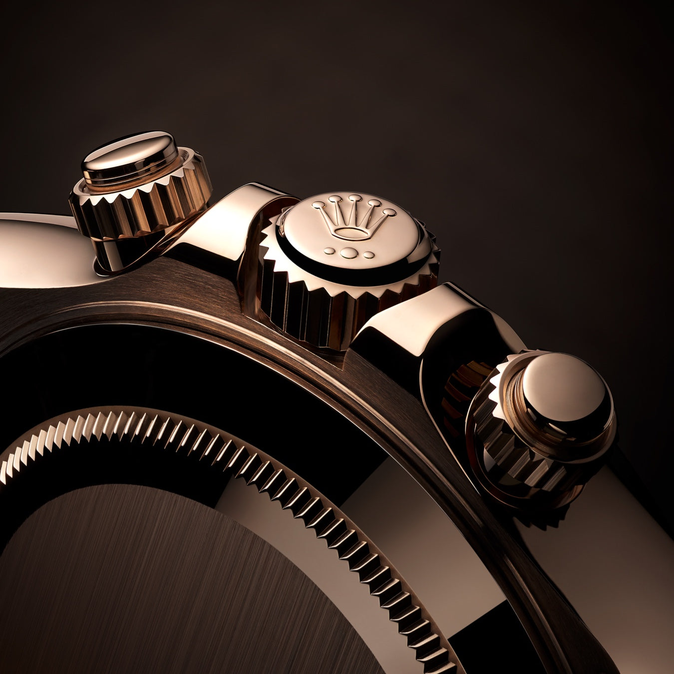 Born to Race | Howard Fine Jewellers - Official Rolex Retailer