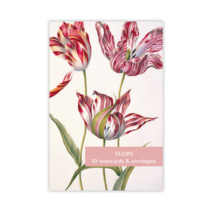 A product image depicting Tulips - Notecard pack