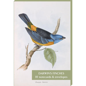 Featured image for the project: Darwin's Finches - Notecard pack