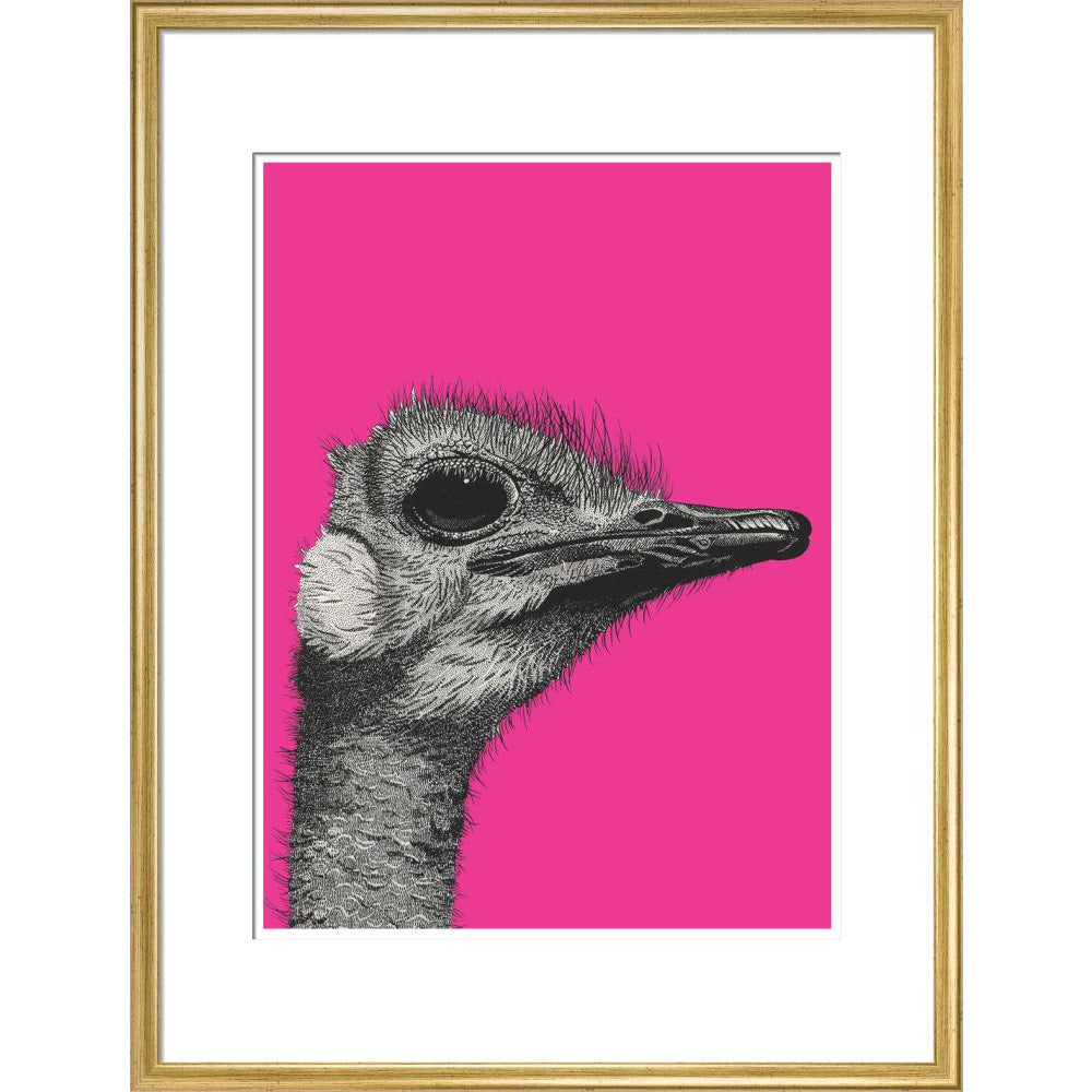 ostrich art