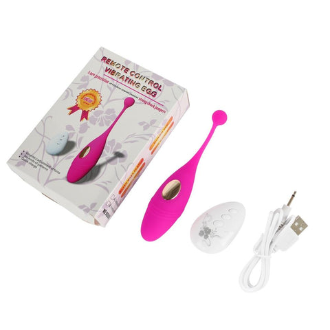 Remote Control Vibrator Egg