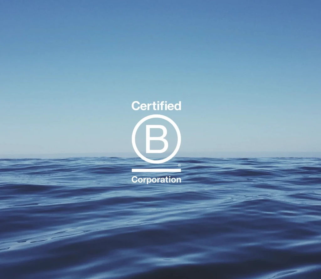 united by blue b corporation