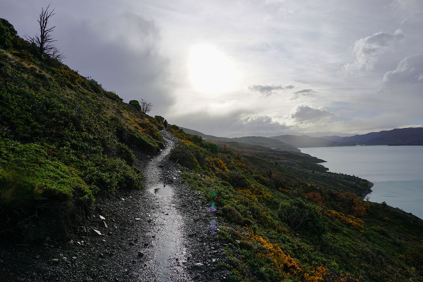patagonia