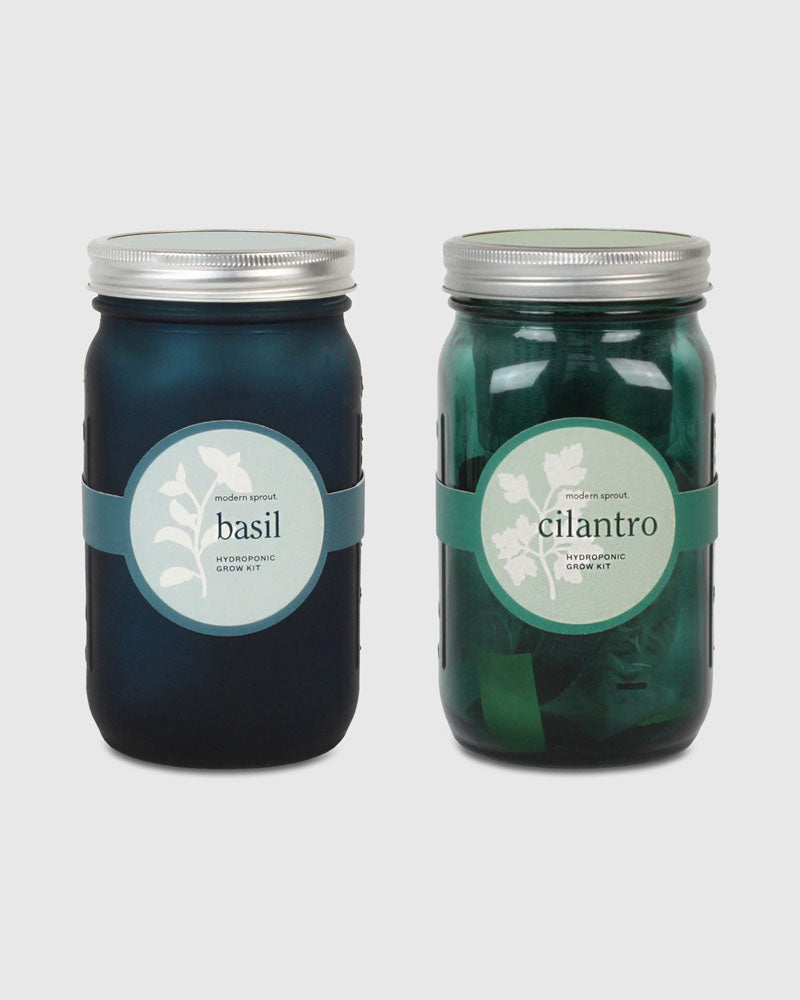 Glass Jar Grow Set - Basil + Cilantro