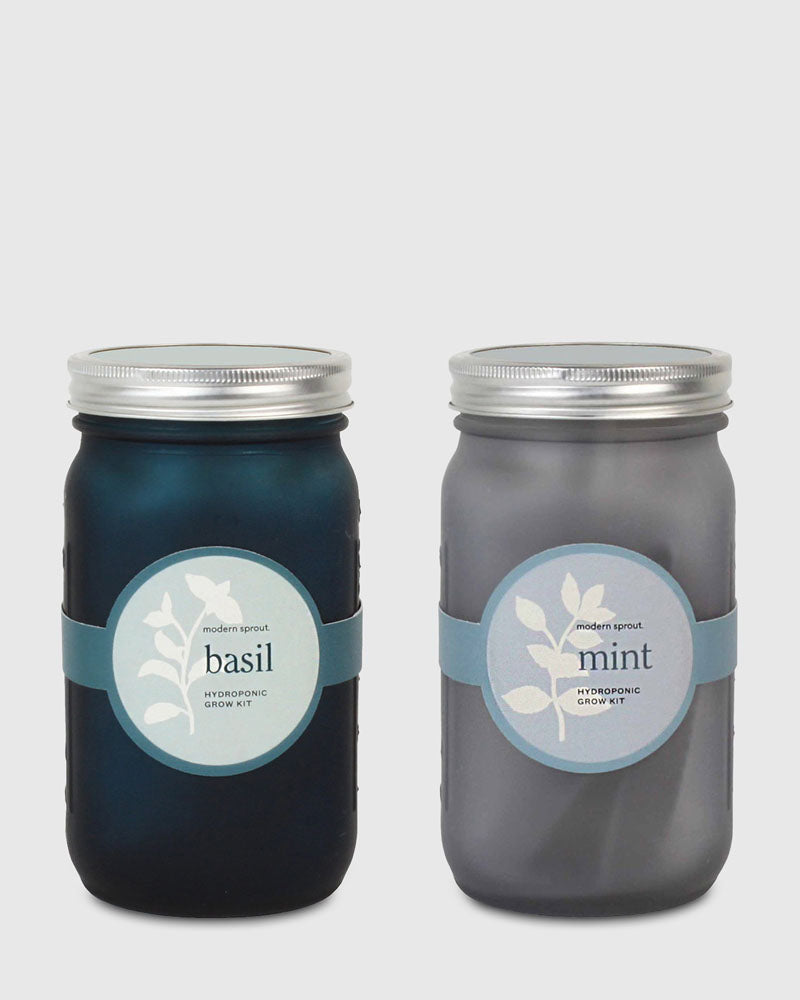 Glass Jar Grow Set - Basil + Mint