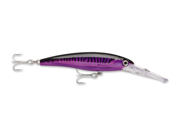 Rapala X-Rap Magnum Lure Xtreme Big Eye Scad HD (160HDBSC)