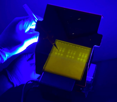 Gel band excision on a SmartBlue Mini Blue Light Transilluminator