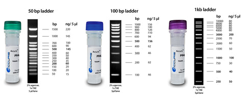 Accuris SmartCheck DNA Ladders, 50bp, 100bp, and 1kb