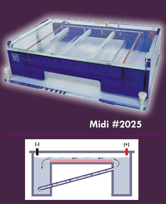 Gel Electrophoresis System | ExpressCast 81-2025 gel box with integral buffer recirculation