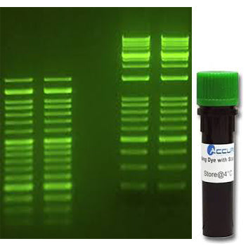 Accuris Instruments SmartGlow DNA Stain