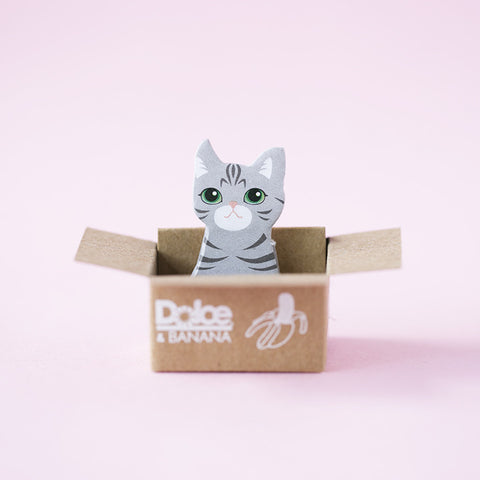 Post-it gato gris en caja