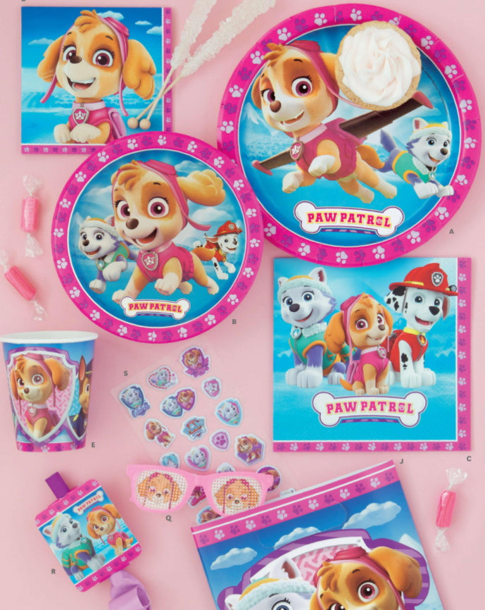 Paw Patrol Girl Party Supplies | Party Connection Canada