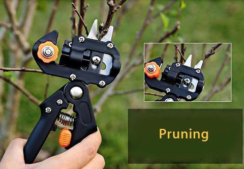 ez-grafting-pruner-pruning