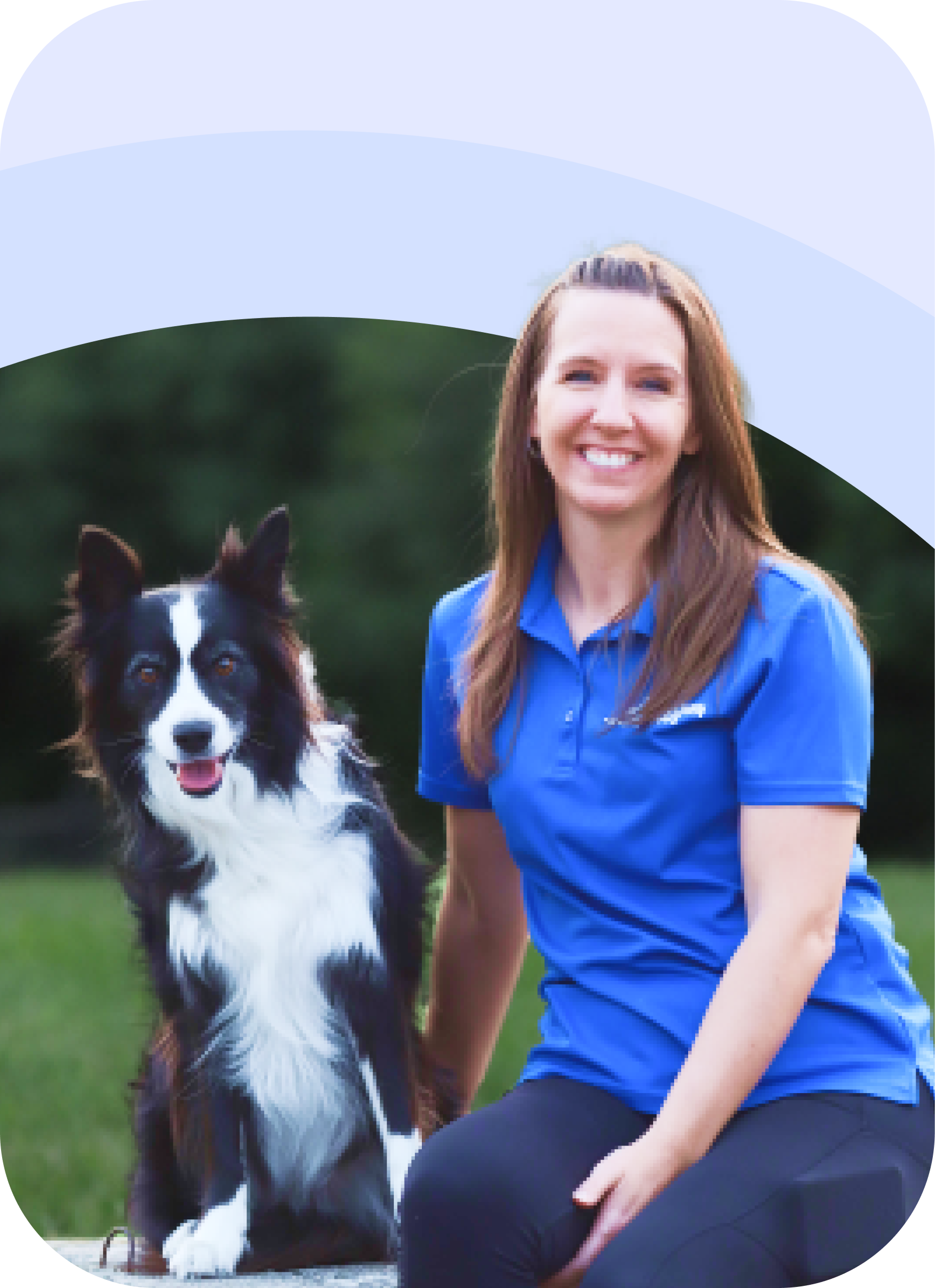 Puppy Proofing Your Life! – McCann Professional Dog Trainers