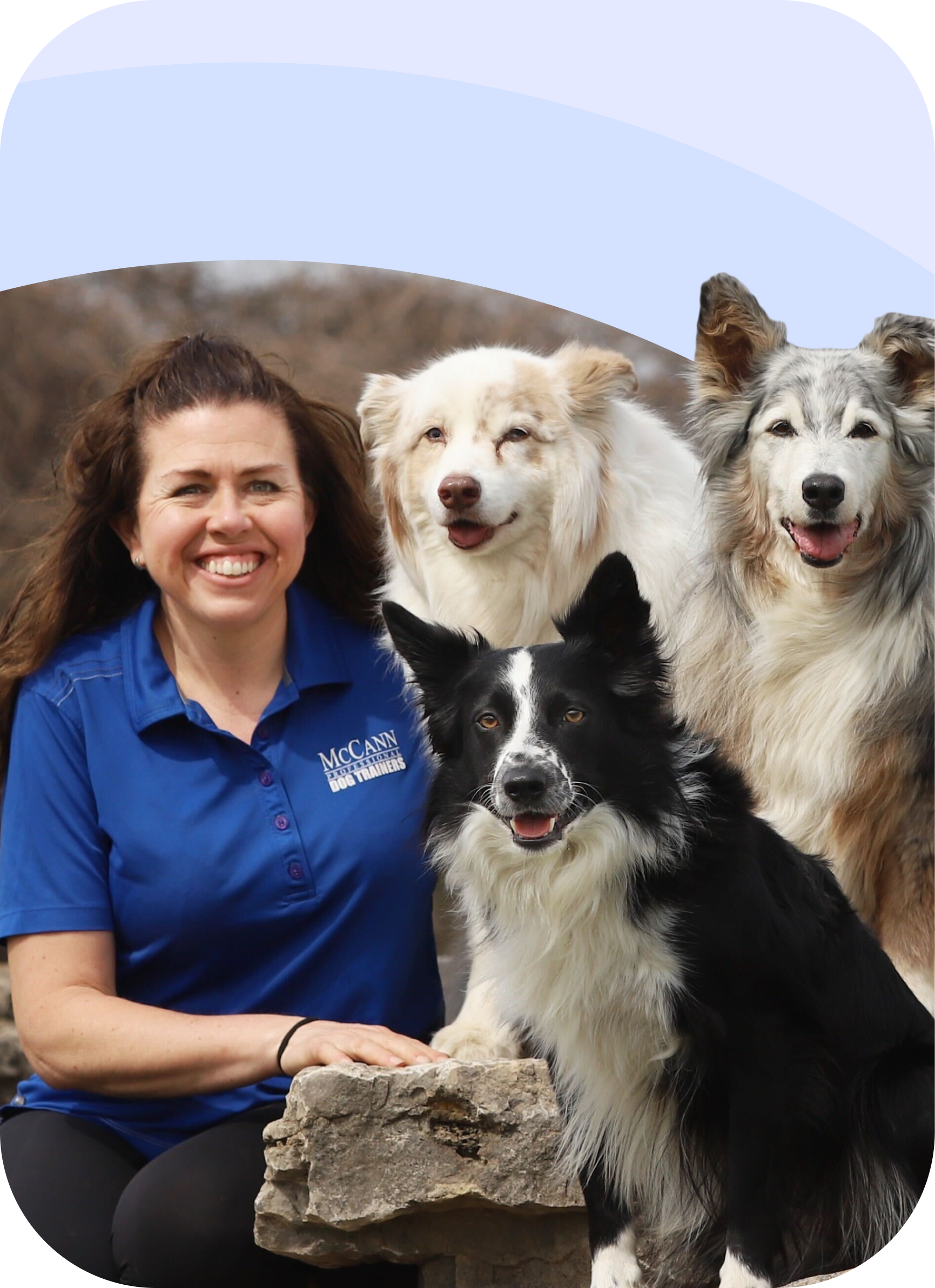 So You Think You Want a Border Collie. – McCann Professional Dog Trainers