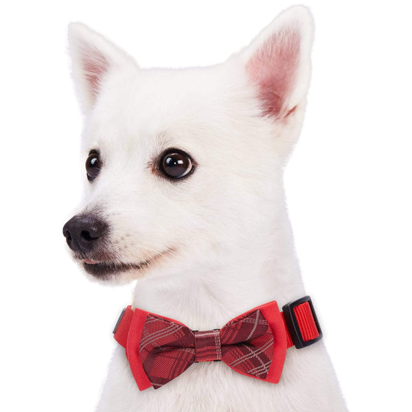 Blueberry Pet Timeless Dog Collar with Bow Tie