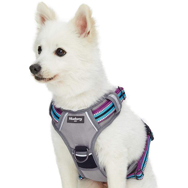 Baltimore Ravens Pet Vest Harness - Purple