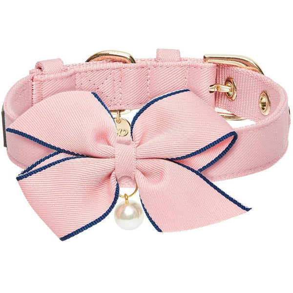 15 Top Preppy Dog Collars - Best Designer Collars for Fancy Dogs & Puppies