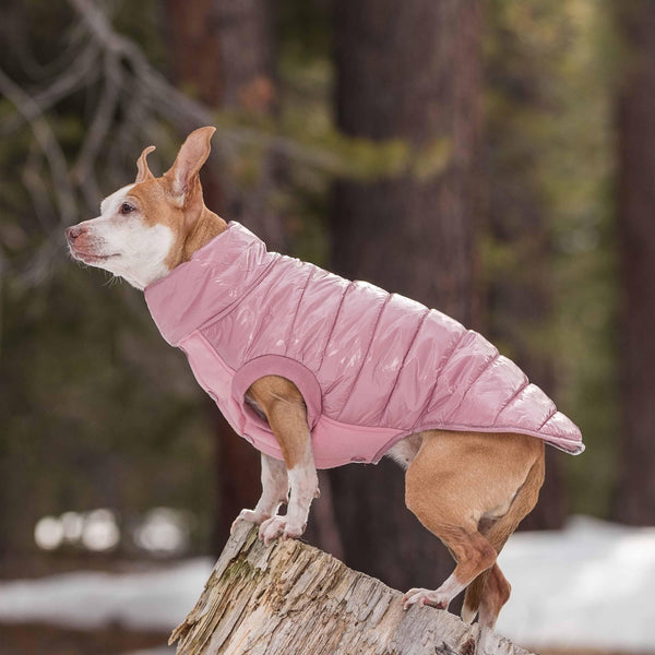 Winter Dog Puffer Jacket Windproof Warm Quilted Jacket Coat for