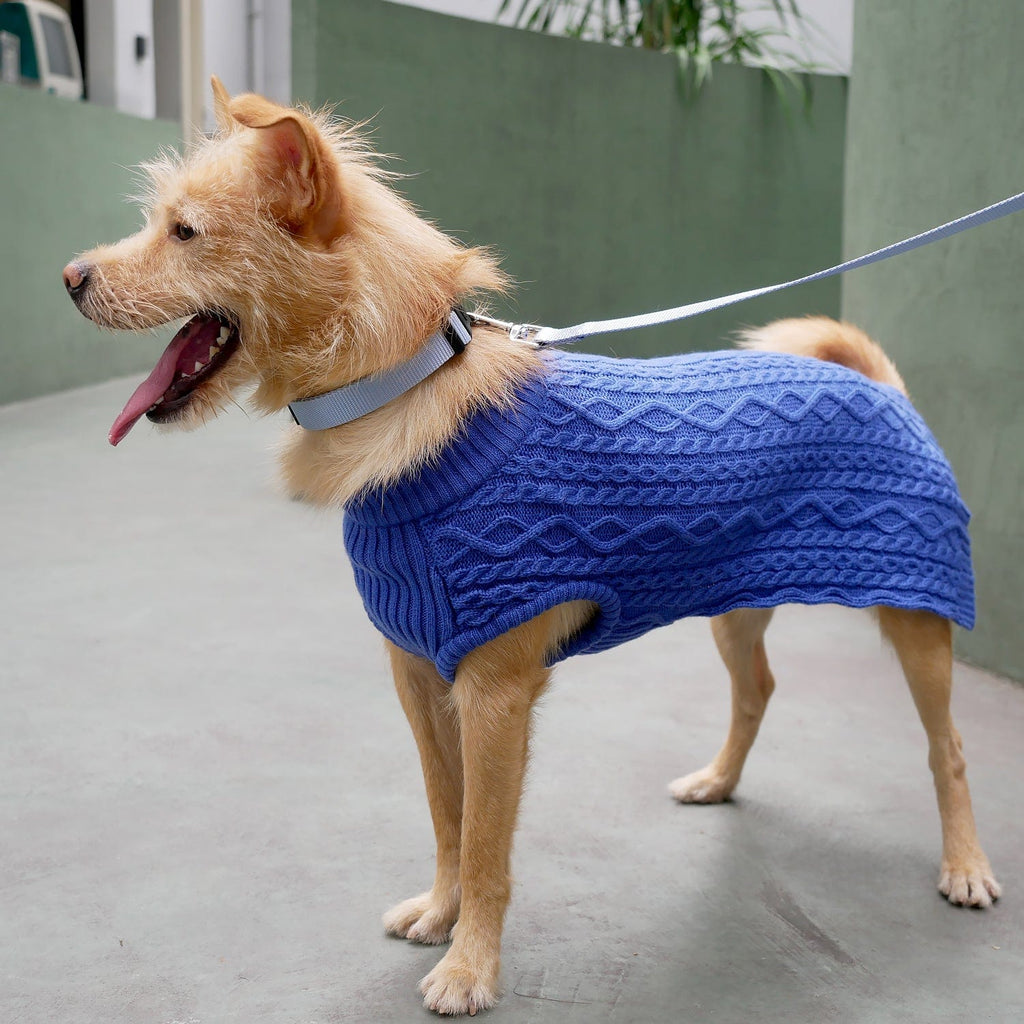 blueberry pet dog sweater