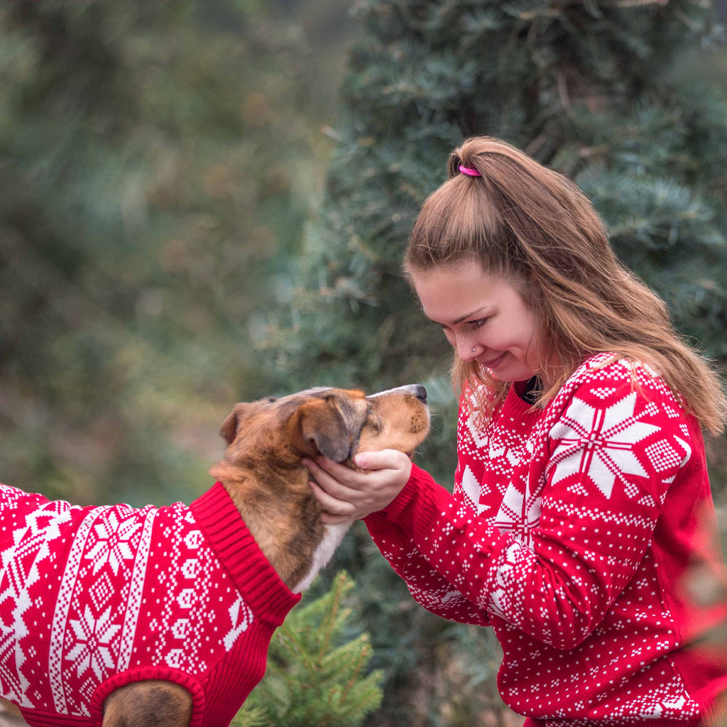 matching pet christmas sweaters