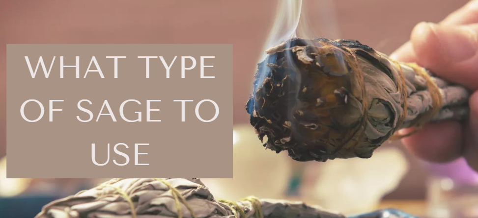 Types of sage