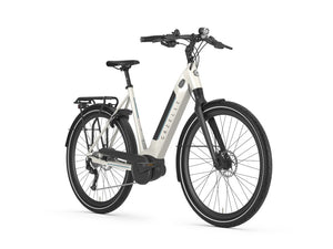 Poging genie Groene achtergrond Ultimate T10 HMB Low-Step - Electric Bike Central