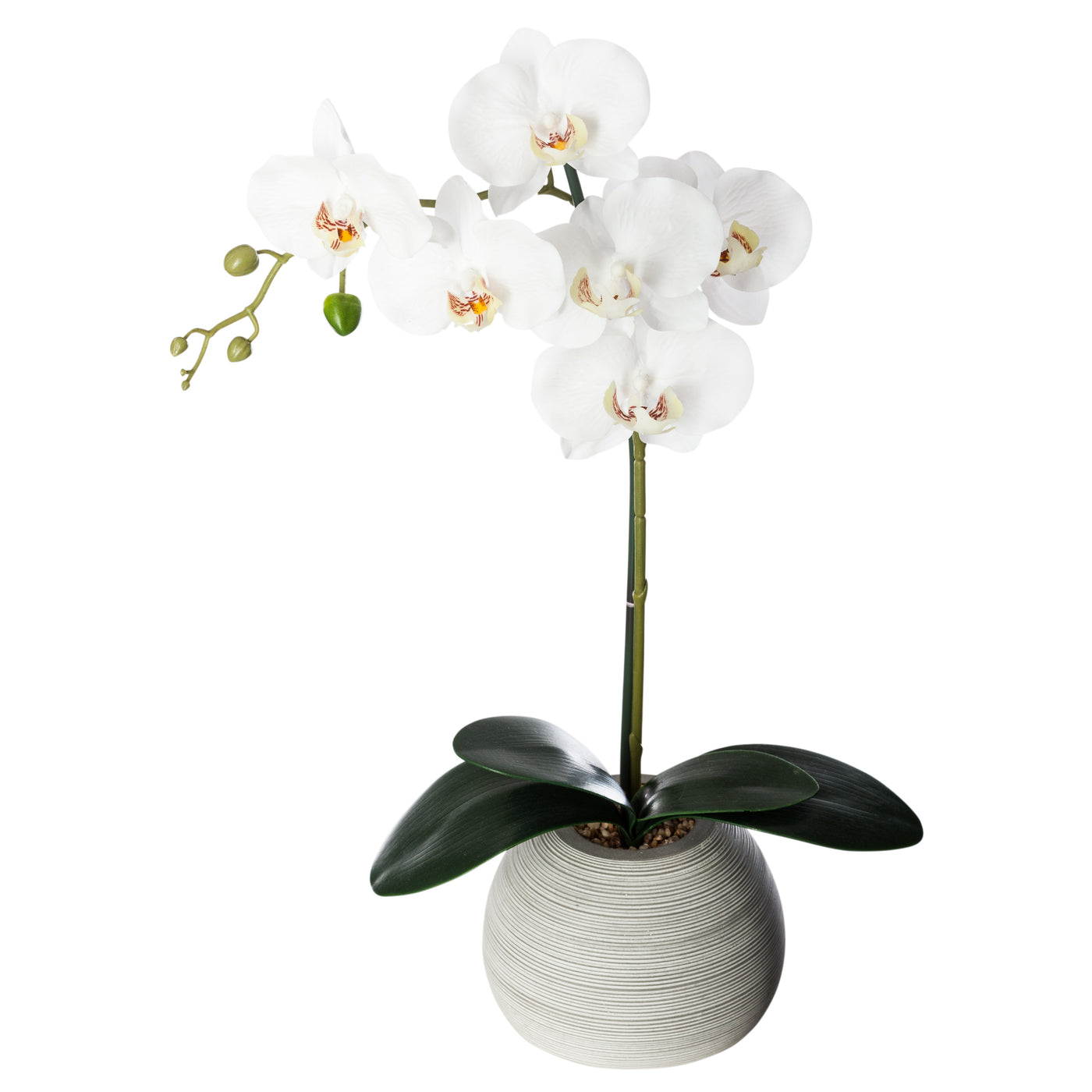 Arreglo Decorativo Orquídea De Plástico – Kulhaus