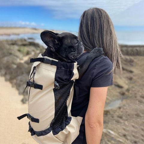 Nimble™ Pet Carrier Backpack - Wheeled Airline-Approved – Depawtment