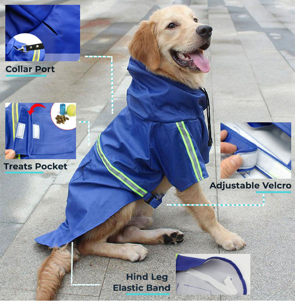 Large lab dog in a blue Rainaway™ - Dog Raincoat With Leash/Harness Port and hood with closeups of the collar port, treats pocket and adjustable Velcro on a vivid background.