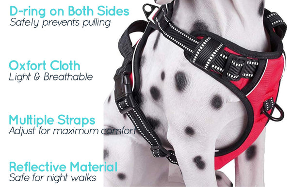 A close-up of a Dalmatian wearing a red Truelove™ Harness + FREE Reflective Leash with features listed of the D-ring, oxford cloth, multiple straps and the reflective material on a white background.