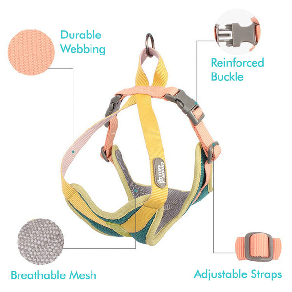 Green TuffHound Tone™ - Dog Harness & Leash Set with close-ups of the reinforced buckle, adjustable strap, breathable fabric and durable webbing on a white background.