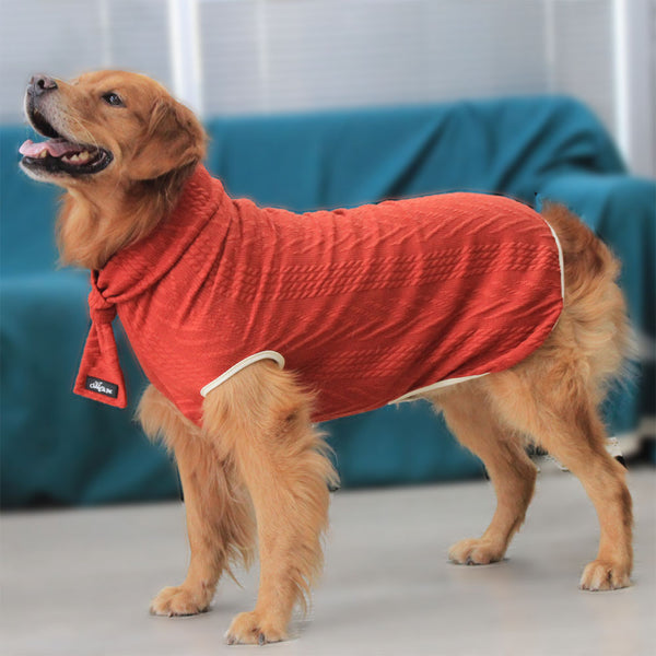 Large yellow dog wearing an orange Jollypaw™ - Dog Sweater & Scarf making him look like the most stylish dog ever.