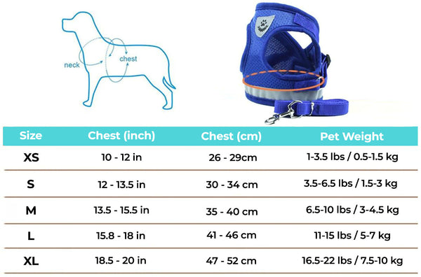 Blue TinyPaw™ - Small Pet Harness + Leash and size chart on a white background.