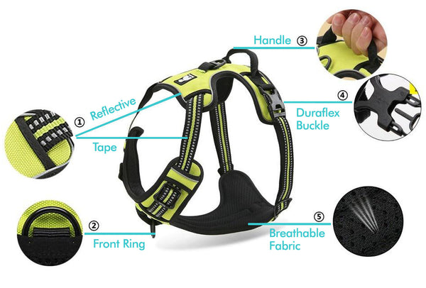Green Truelove Standard™ - Dog Harness with close-ups of the reflective tape, top handle, duraflex buckle, front D-ring and breathable fabric on a white background.