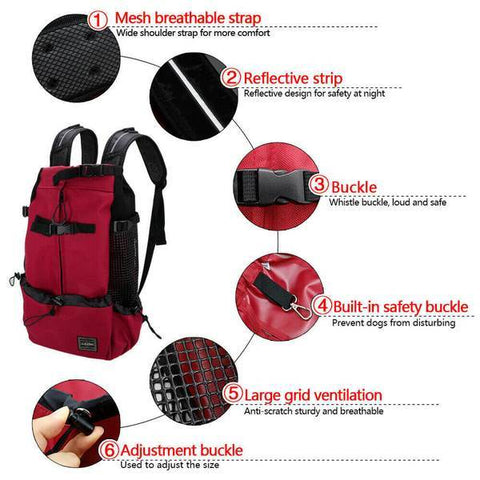 Foldy Pet Backpack Carrier – Depawtment