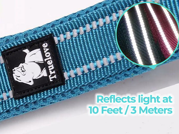 Close up of the reflective surface of a blue Truelove Heavy Duty™ - Reflective Dog Leash on a white background.