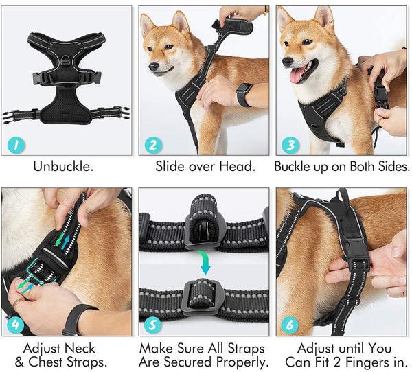 Images showing a Large yellow dog being buckled in a black Truelove Pro™ - Dog Harness and a close up of adjustable buckles and finger spacing that needs to be left under the harness on a white background.