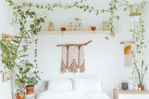 boho chic design bedroom with hanging plants and macrame