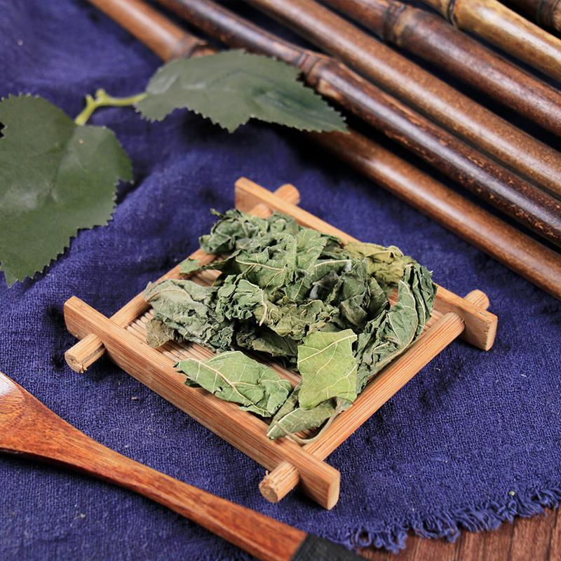 100g Shuang Sang Ye 霜桑葉, Folium Mori, Frost Mulberry Leaf-[Chinese Herbs Online]-[chinese herbs shop near me]-[Traditional Chinese Medicine TCM]-[chinese herbalist]-Find Chinese Herb™