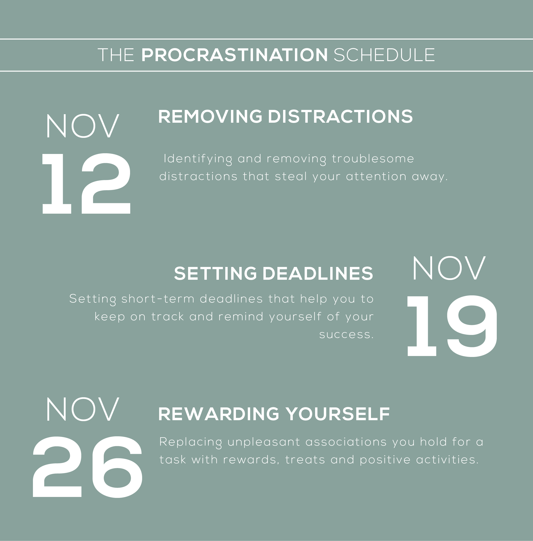 procrastination schedule