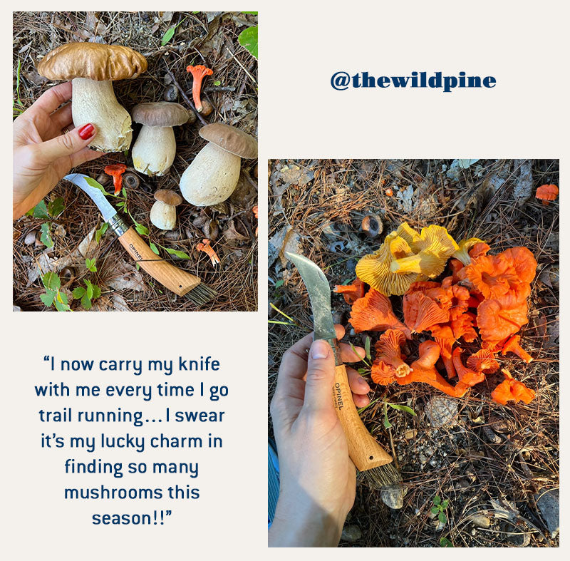 No.08 Mushroom Knife foraging