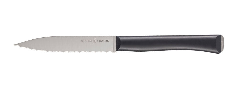 Essential Vegetable Knife