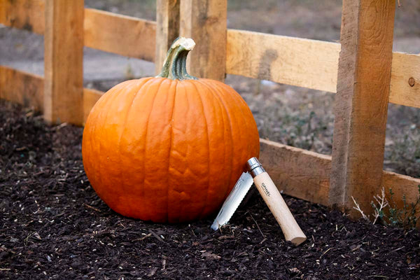 Opinel pumpkin carving