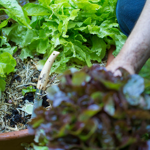 Opinel USA how to build your gardening tool kit harvest